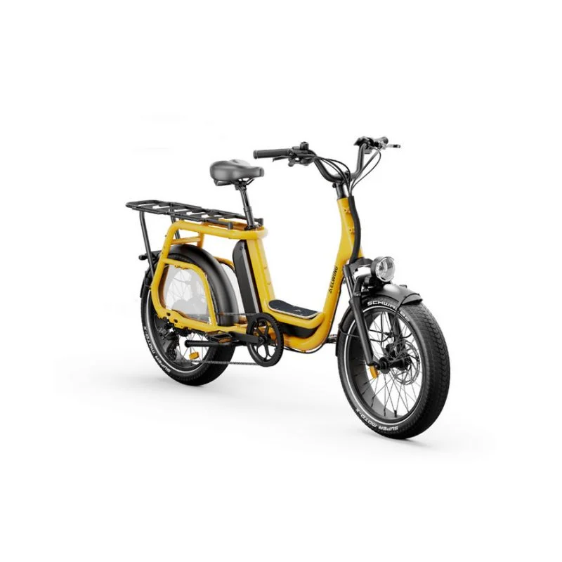 Vélo ELWING Ritmic Jumbo Jaune longtail Quantité Limitée
