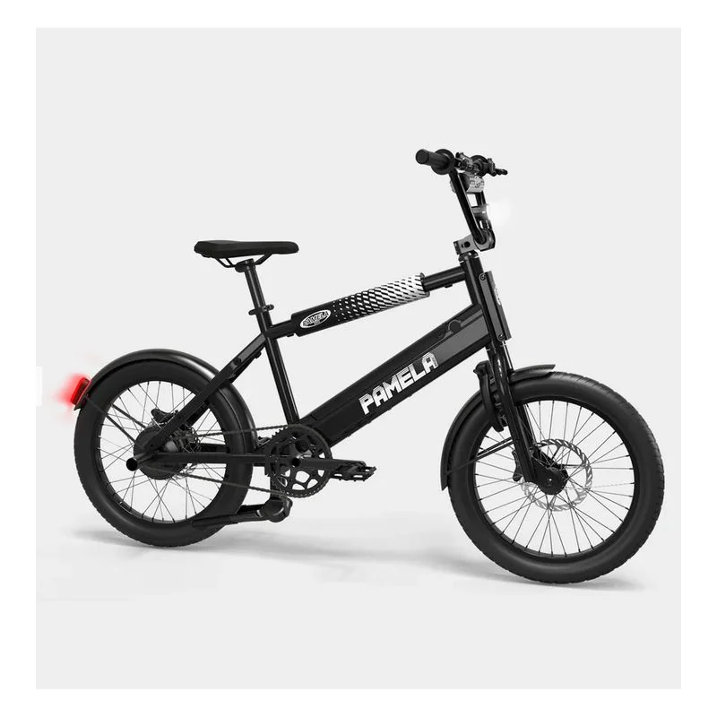 Jusqu'à Épuisement Des Stocks Vélo Pamela Bikes - C 17+