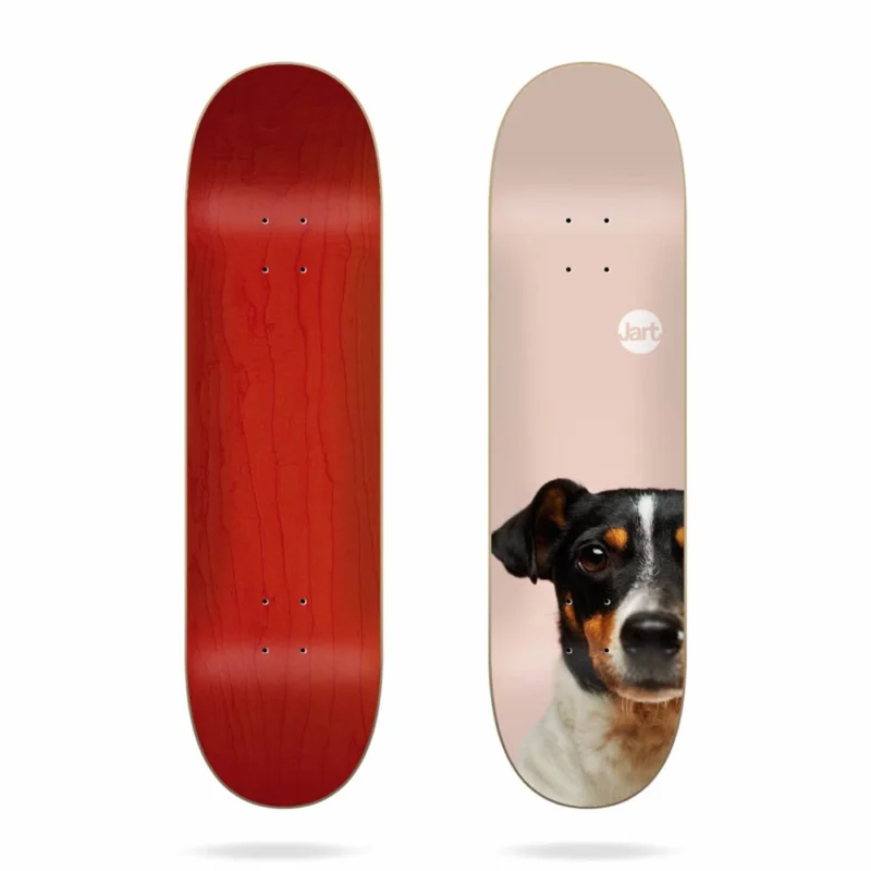 PLANCHE DE SKATE JART FRIENDS 8.125" Vente Flash