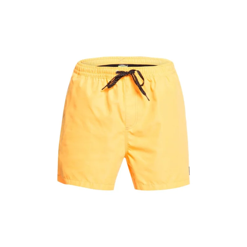 Nouvelle Collection BOARDSHORT QUIKSILVWER EVERYDAY 15"