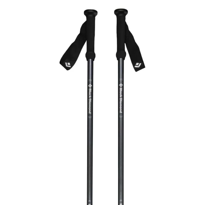 Super Prix Black Diamond Bâtons Explorer 2