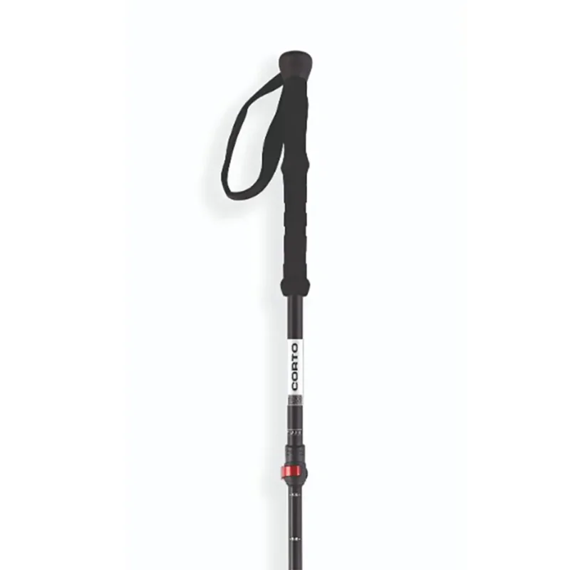 Vente Flash Corto Bâtons Fuji 3 parts powerlock long grip