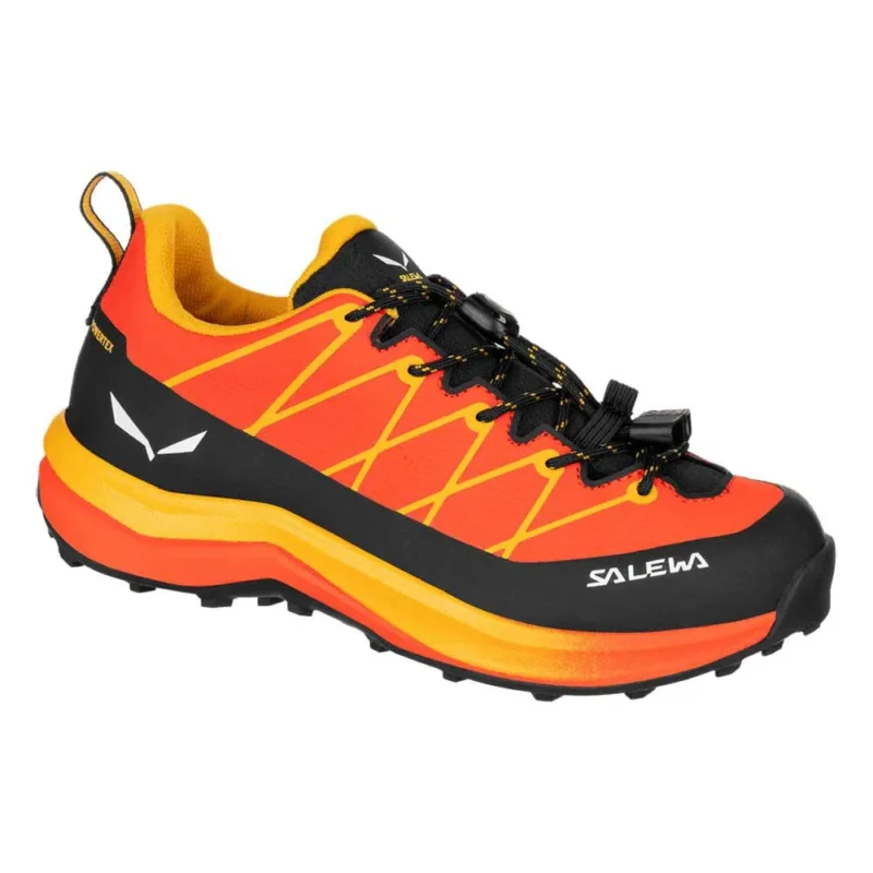 Petit Prix Salewa Chaussures de randonnée Wildfire 2 Powertex