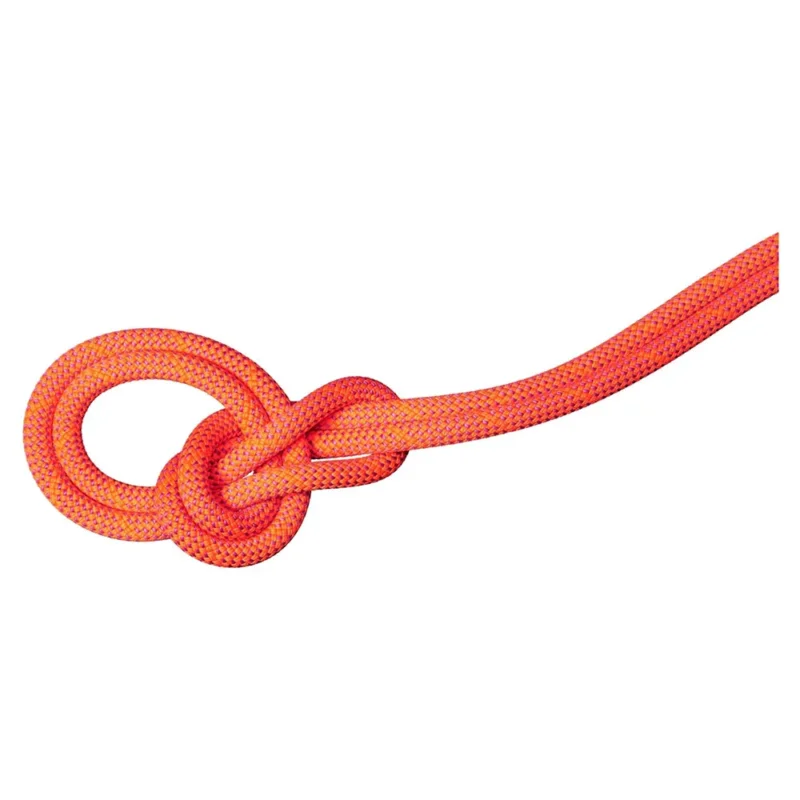 Vente Flash Mammut Corde 9.8 mm Crag Dry 70 m