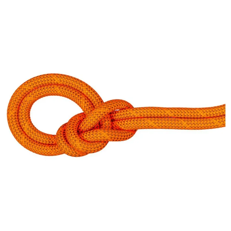 Mammut Corde Crag 9.8 mm Dernier Modèle