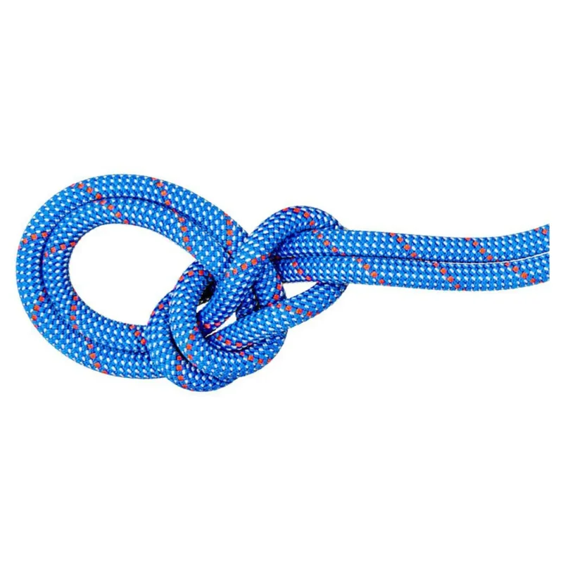 Meilleur Prix Mammut Corde Crag Classic 9.5 mm