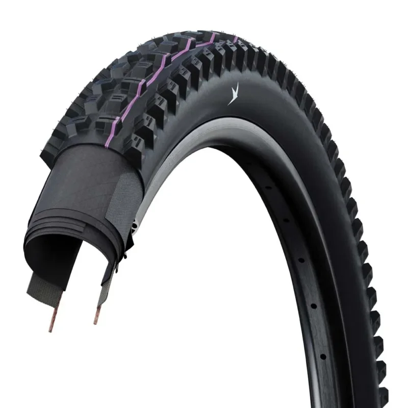 Offre Exclusive Schwalbe Pneu VTT Tacky Chan Gravity Pro Ultra Soft Radial Tubeless 29´´ x 2.50