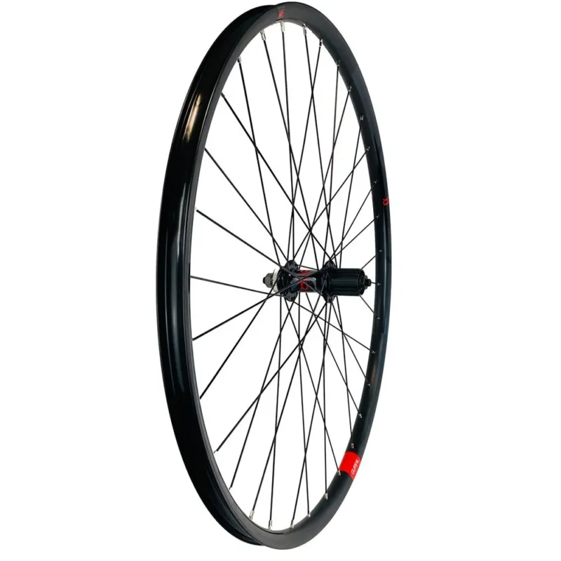 Gurpil Roue arrière de VTT Alpha 29´´ CL Disc Meilleur Choix