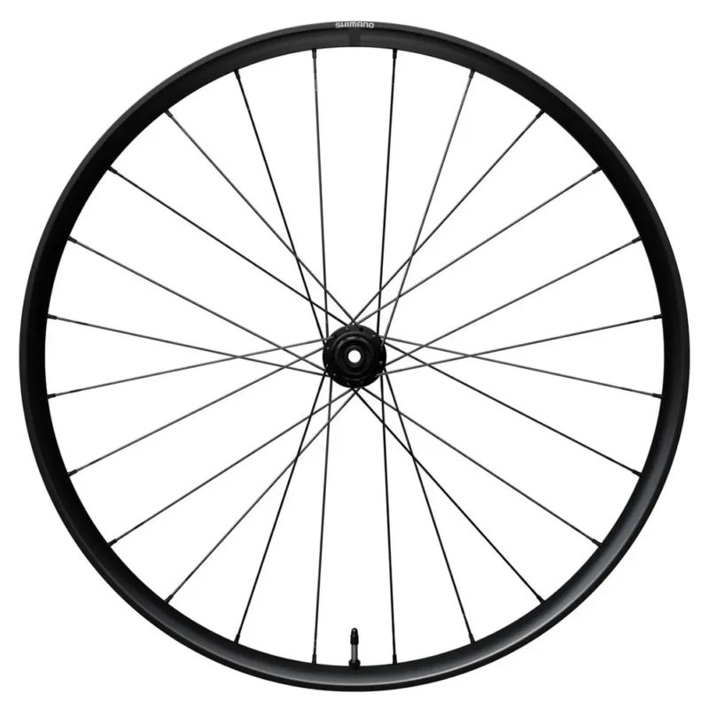 Offre Exclusive Shimano Roue arrière RX180 Disc Tubeless