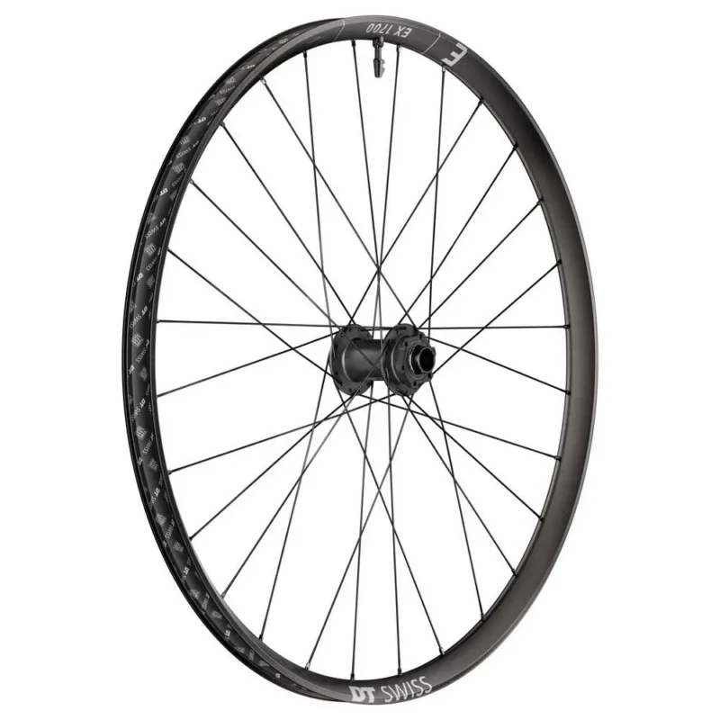 DT Swiss Roue avant VTT EX 1700 CLASSIC 29´´ 21 6B Disc Tubeless Acheter En Ligne