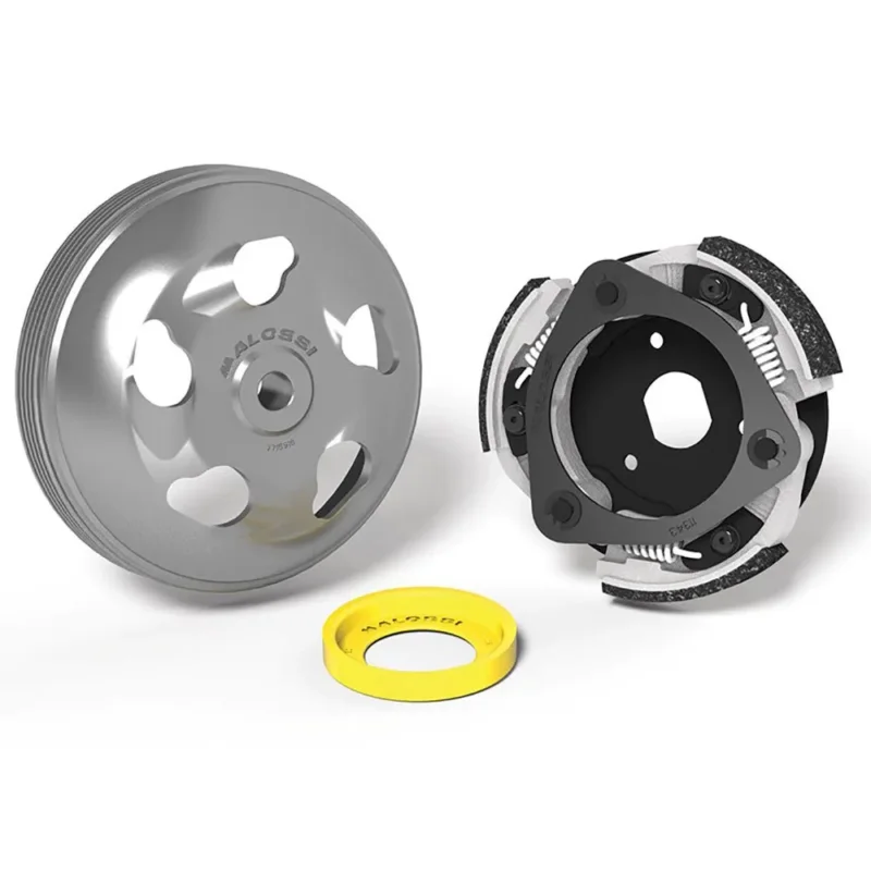 Malossi Kit d´embrayage Maxi Fly Honda Forza 125 ABS Populaire