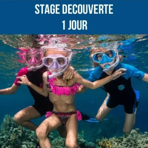 Certifié Stage enfant - Découverte (1 jour)