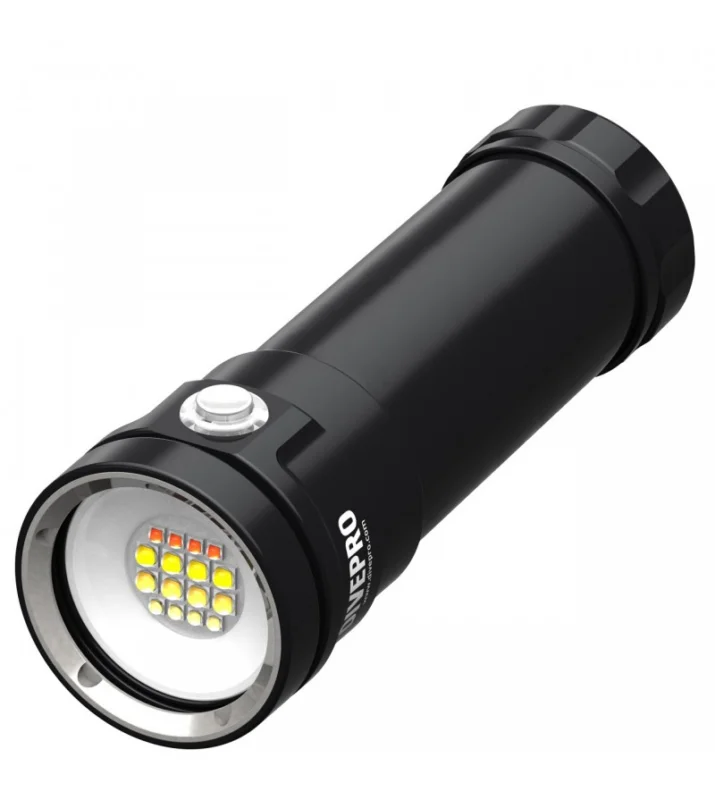Paiement Sécurisé Phare DivePro D80F+ (by Bersub)