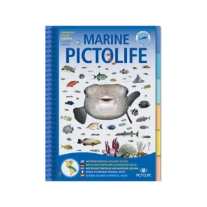 Bon Marché Guide Pictolife Atlantique Ouest