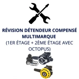 Expédition Rapide Révision détendeur compensé multimarque (1er étage + 2ème étage + Octopus)
