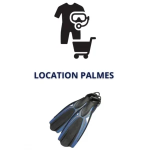 Location Palmes Usine Directe