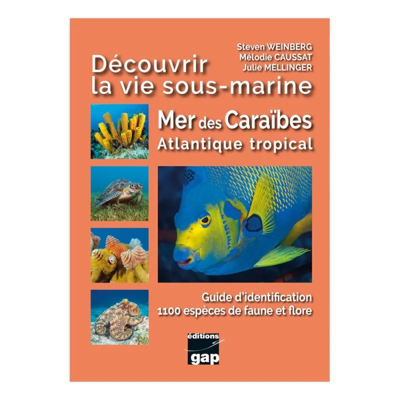 Découvrir la vie sous-marine Mer des Caraïbes Atlantique tropical Usine Directe