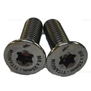 Retour Gratuit F-ONE Vis M8-25mm Tapered Head Screws (TITANIUM - T40 torx) x2